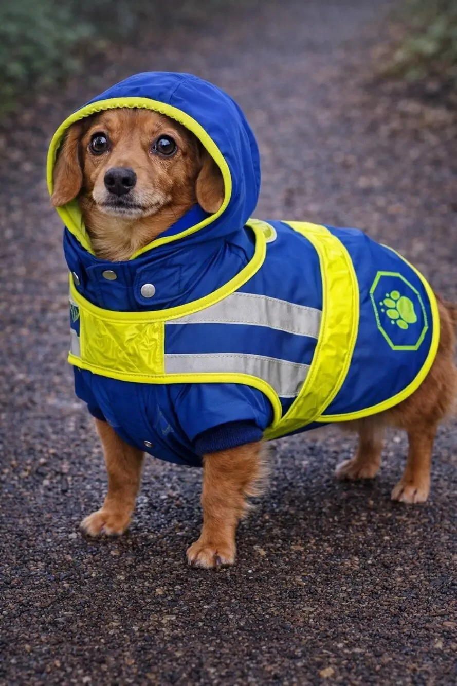 Two-Piece Blue Dog Coat Set Hooded Fleece Lined Jacket and Reflective Vest Small